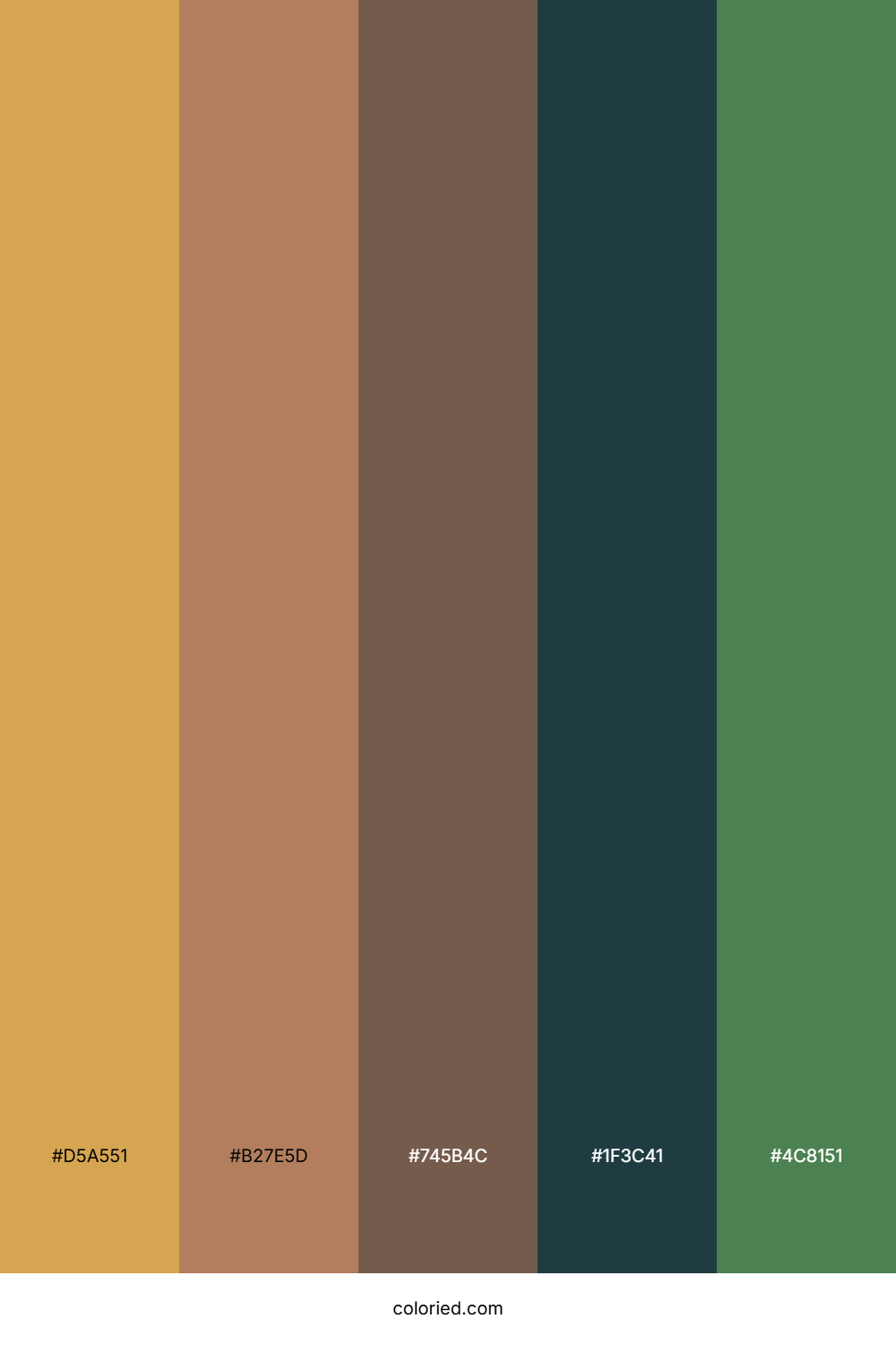 Rustic Christmas Cabin Color Palette