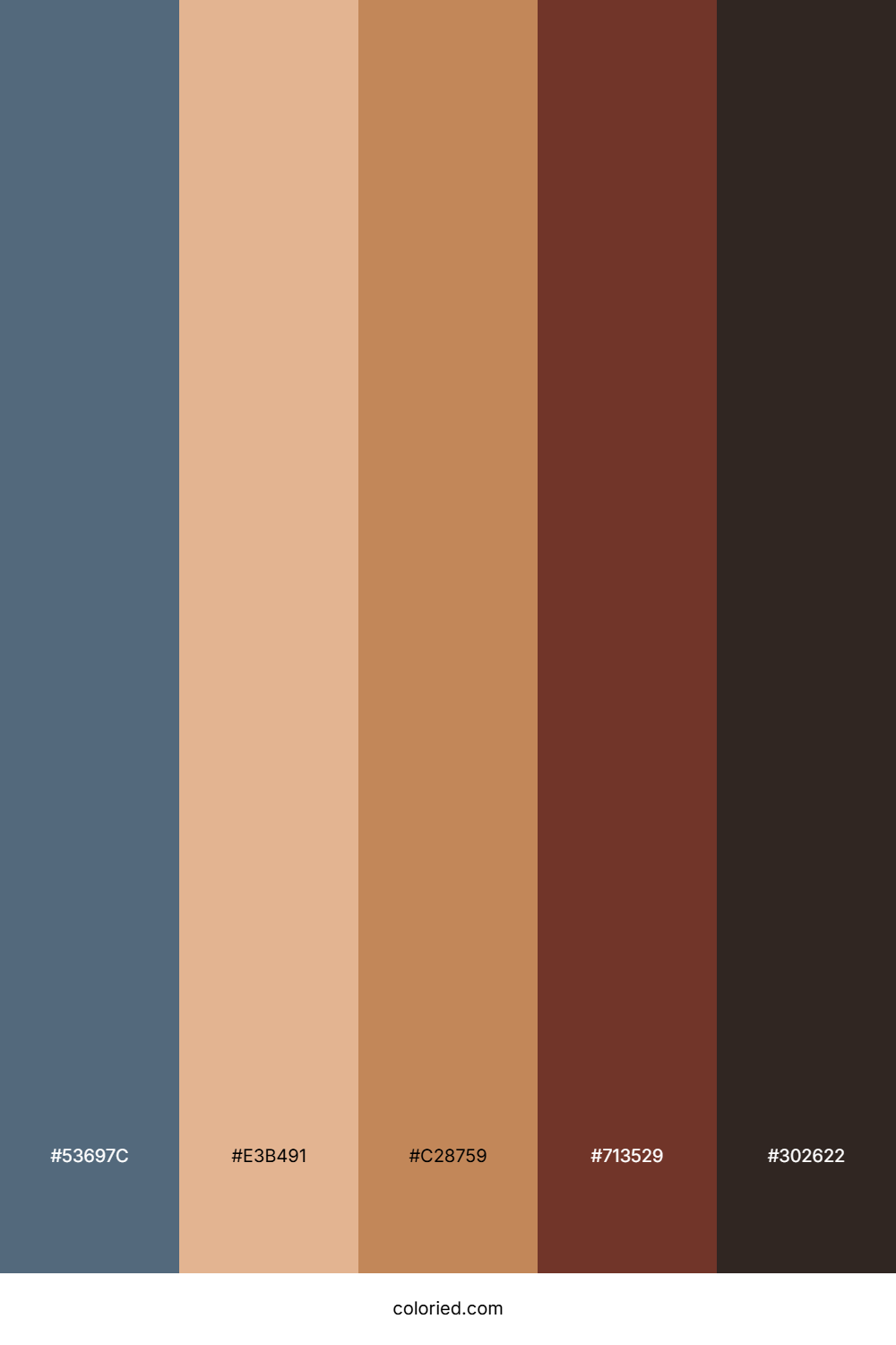 Rustic Coastal Sunset Color Palette