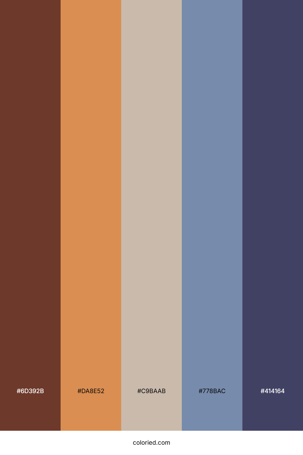 Rustic Cocoa Sky Palette