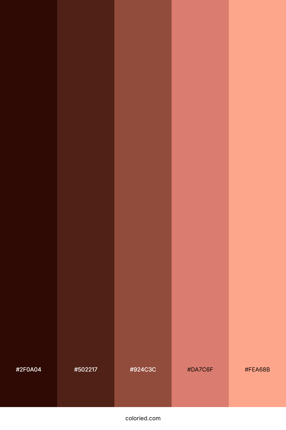Rustic Coral Dawn Palette