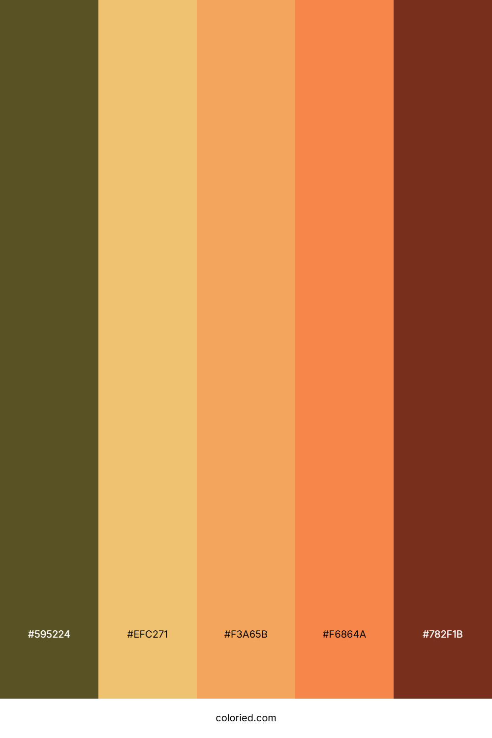 Rustic Harvest Warmth Palette