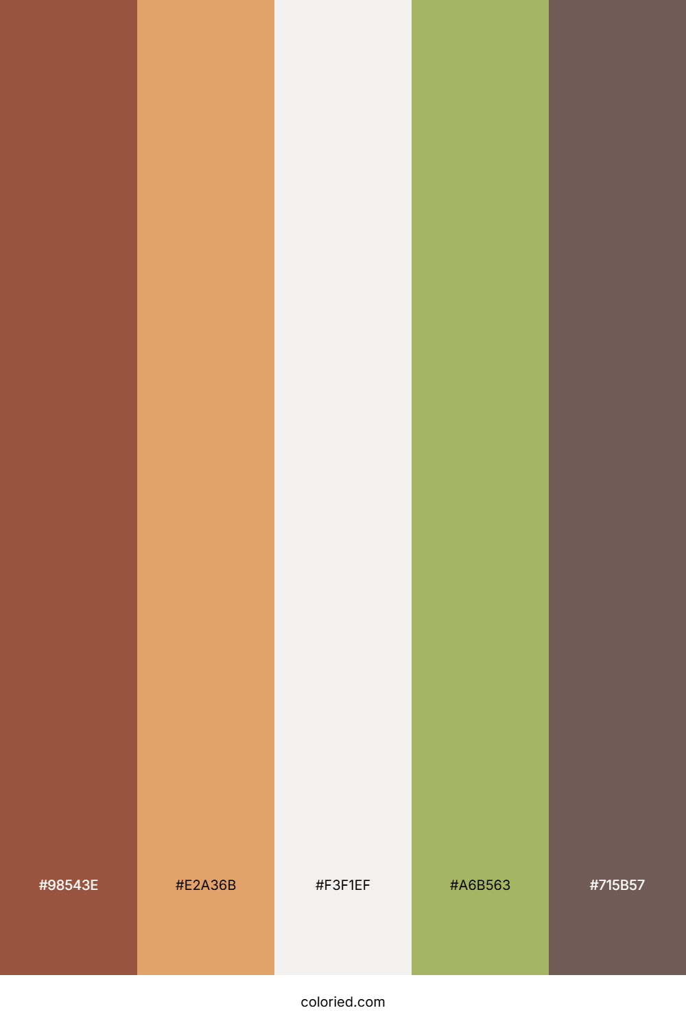Rustic Olive Grove Palette