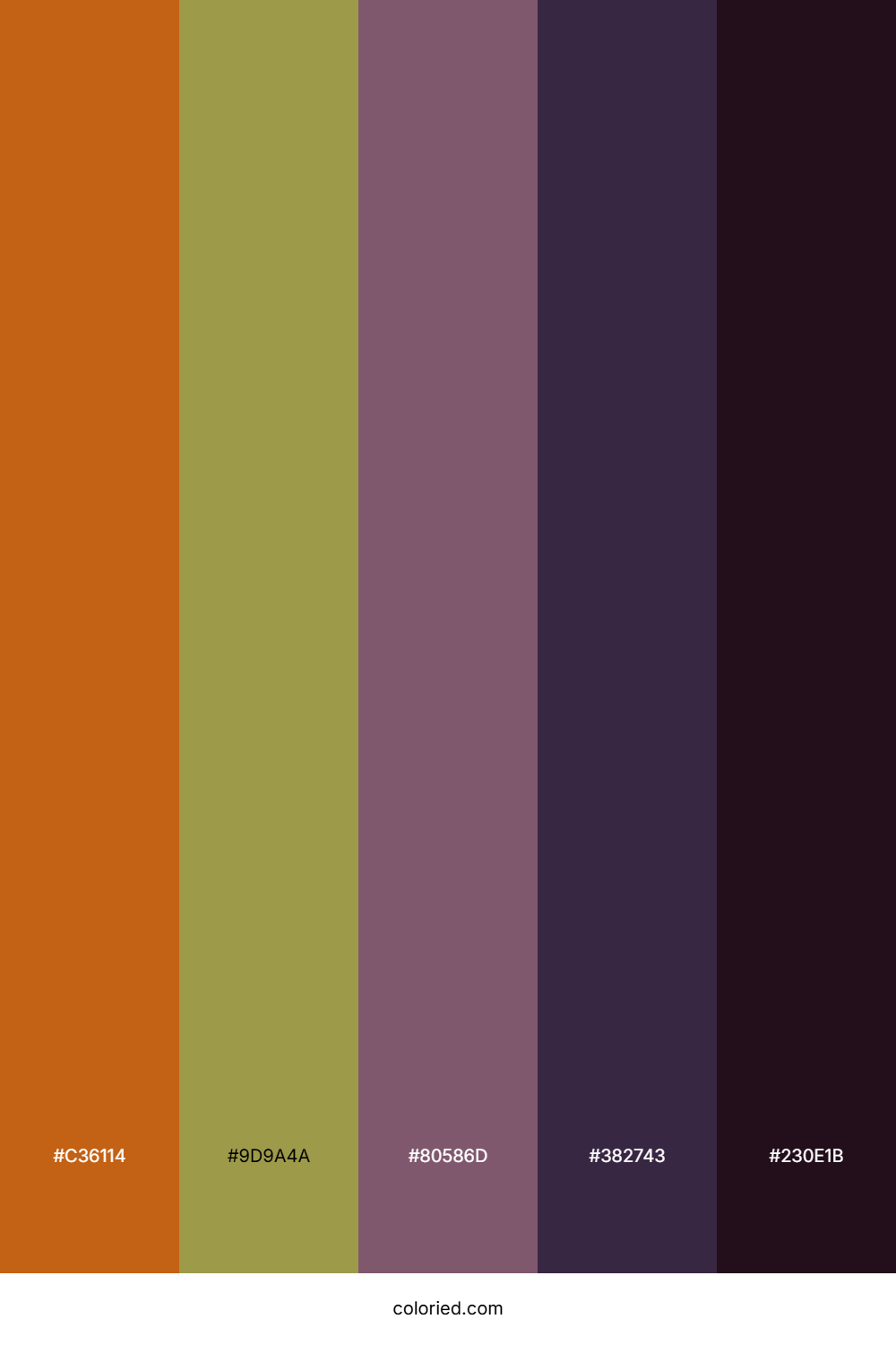 Rustic Orchard Twilight Color Palette