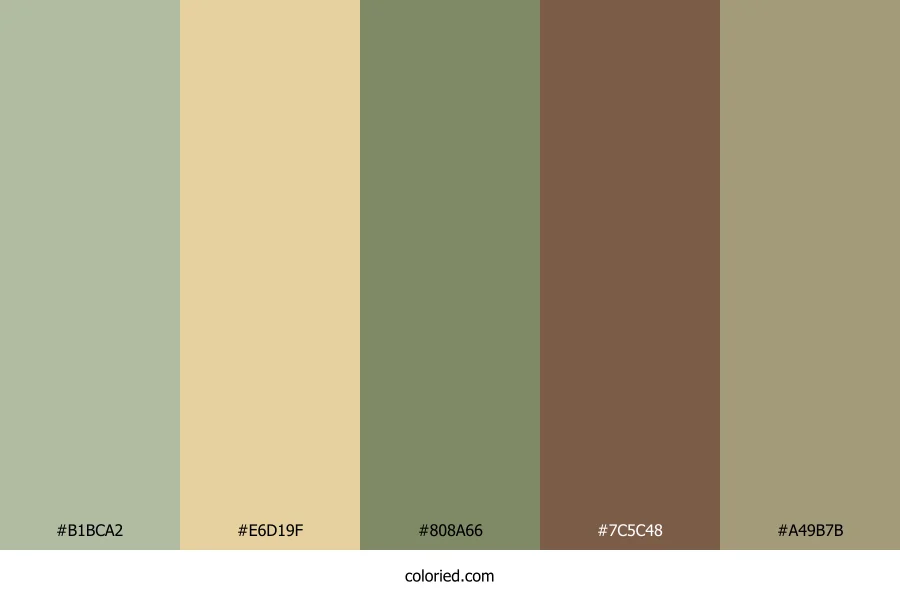Rustic Sage Horizon Color Palette