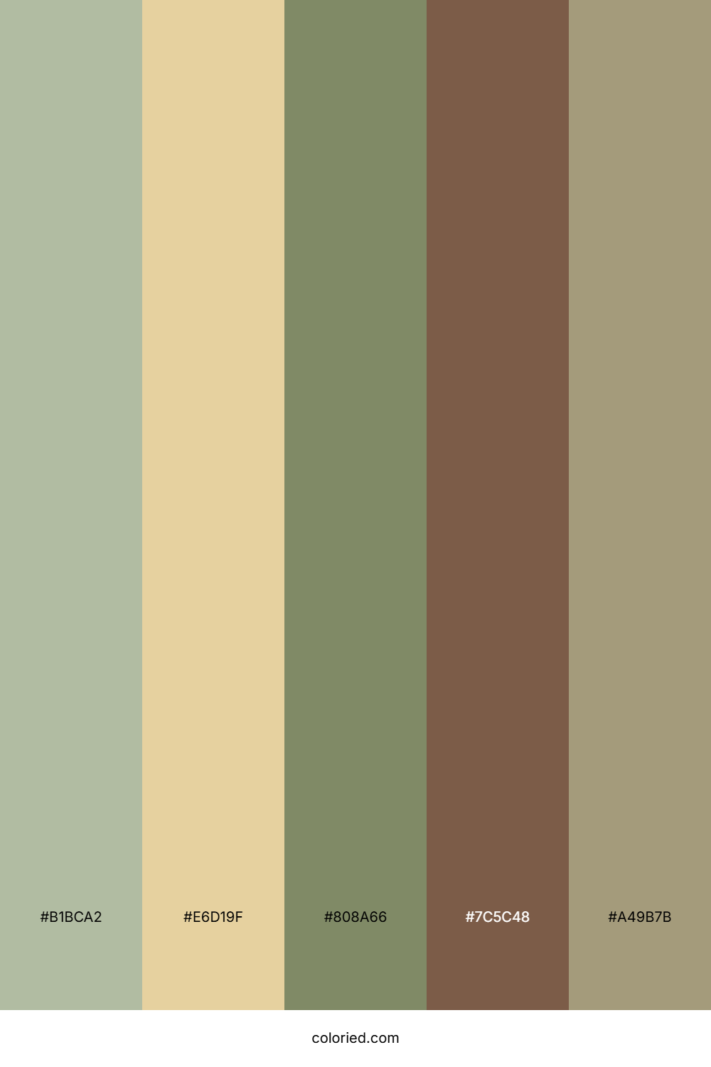 Rustic Sage Horizon Palette