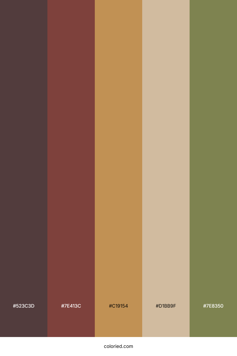 Rustic Shoreline Hues Palette
