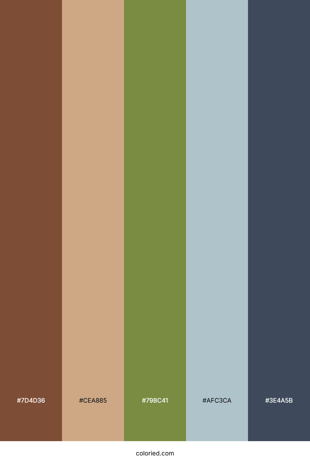 Rustic Woodland Dawn Color Palette