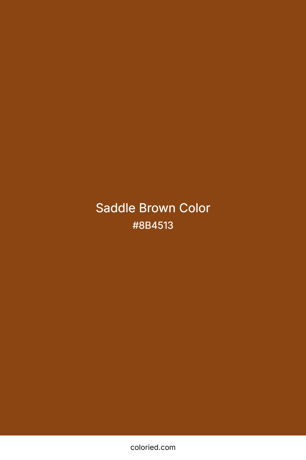 Saddle Brown Color