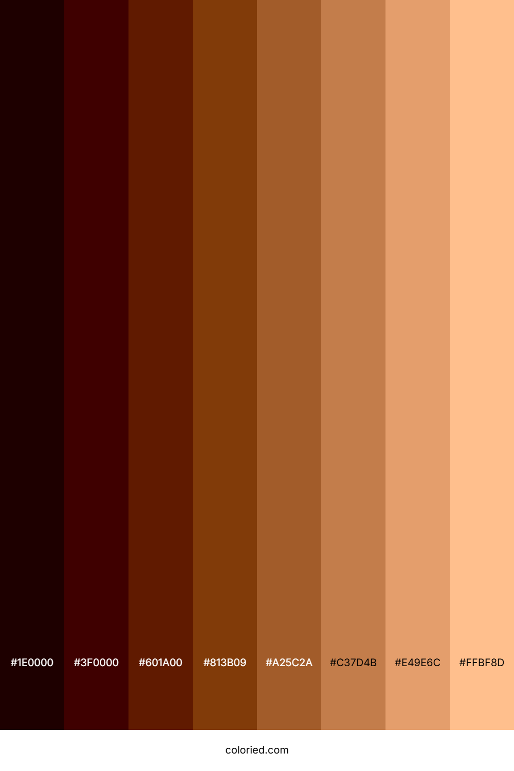 Saddle Brown Shades