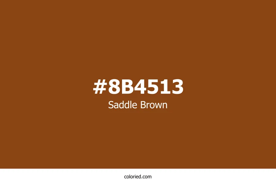 Saddle Brown Color