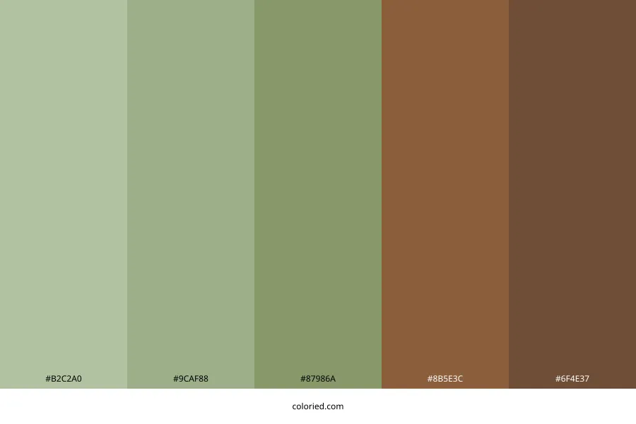 Sage and Brown Color Palette