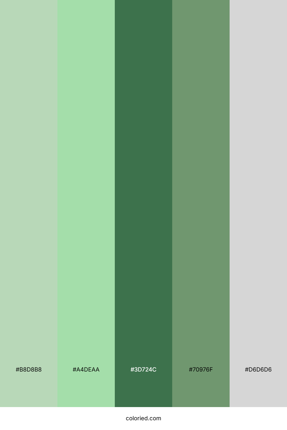 Sage and Forest Color Palette