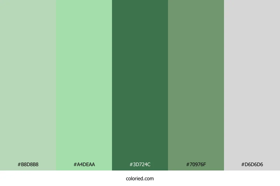 Sage and Forest Color Palette