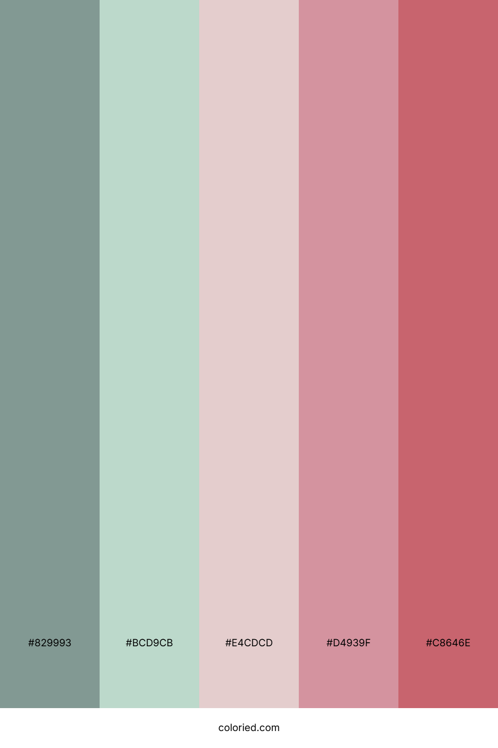 Sage Blush Rose Color Palette