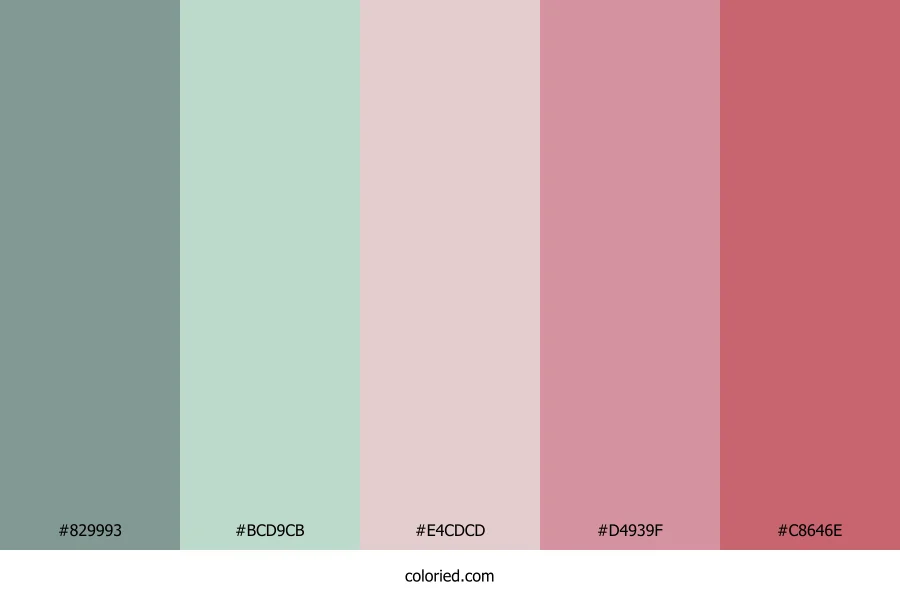 Sage Blush Rose Color Palette
