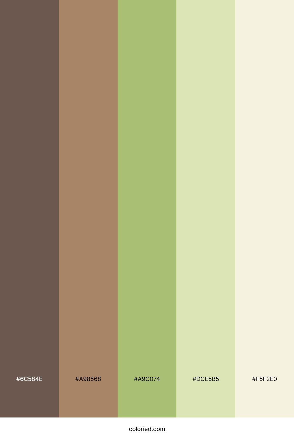 Sage Cream Color Palette