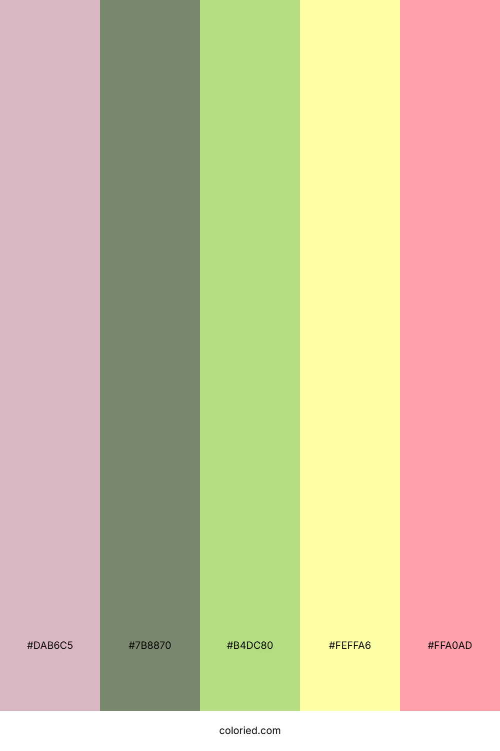 Sage Desert Hues Palette