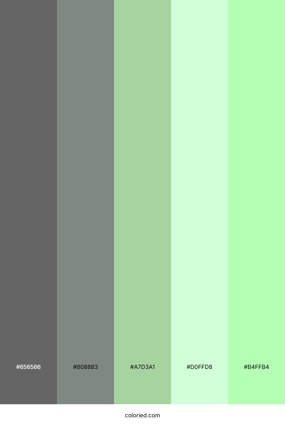 Sage Garden Glow Color Palette