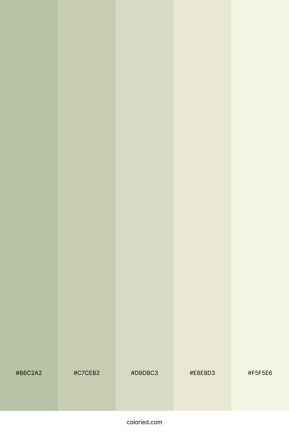 Sage Gradient Color Palette