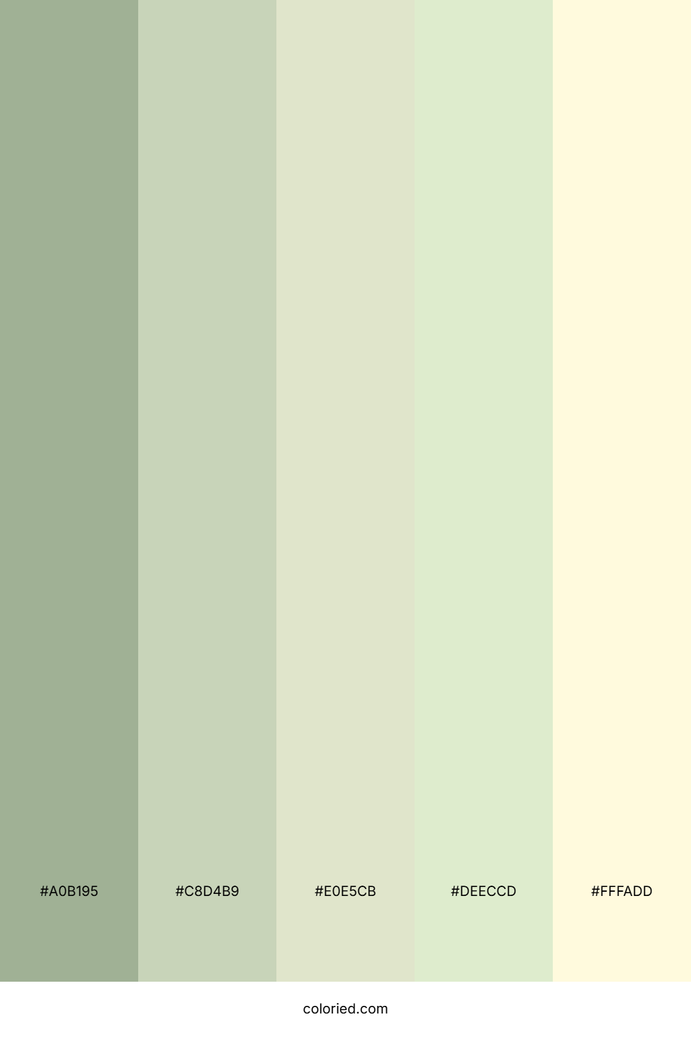 Sage Green and Cream Color Palette