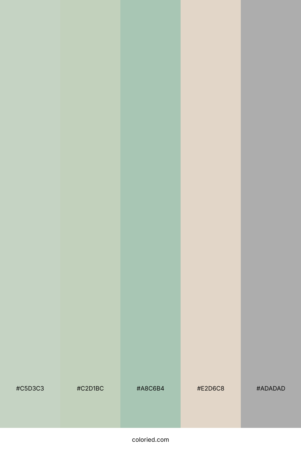 Sage Green and Linen Color Palette