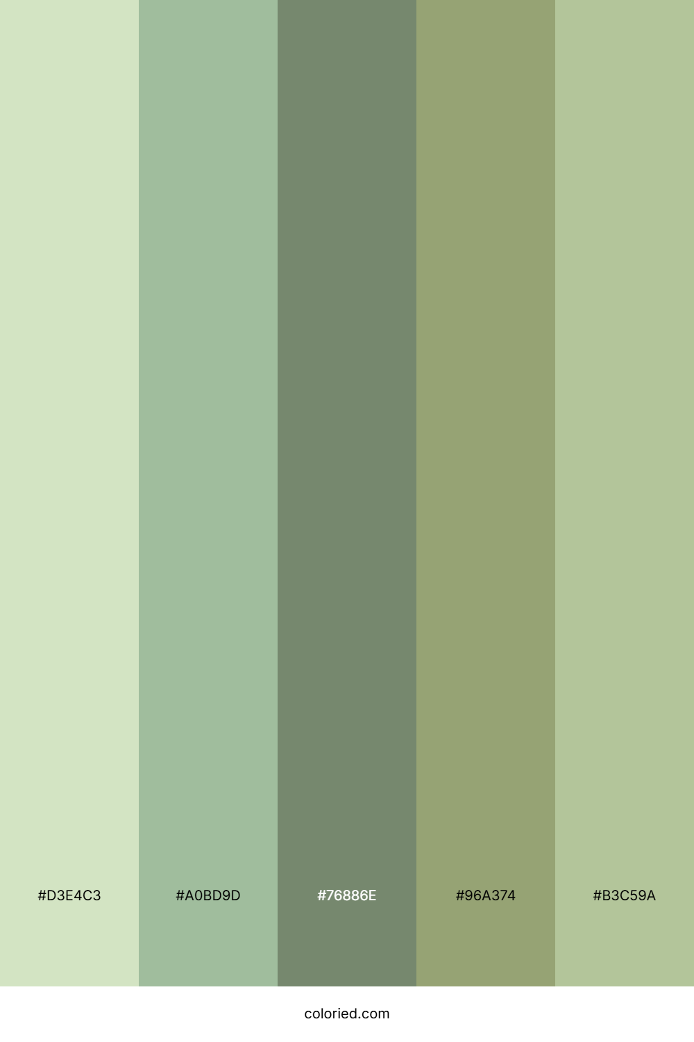 Sage Green and Olive Color Palette