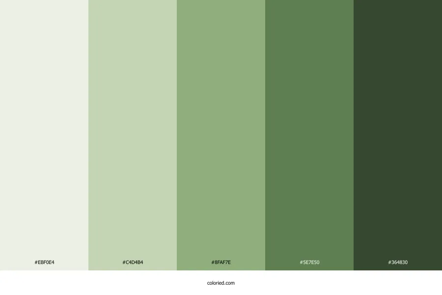 Sage Green Color Palette