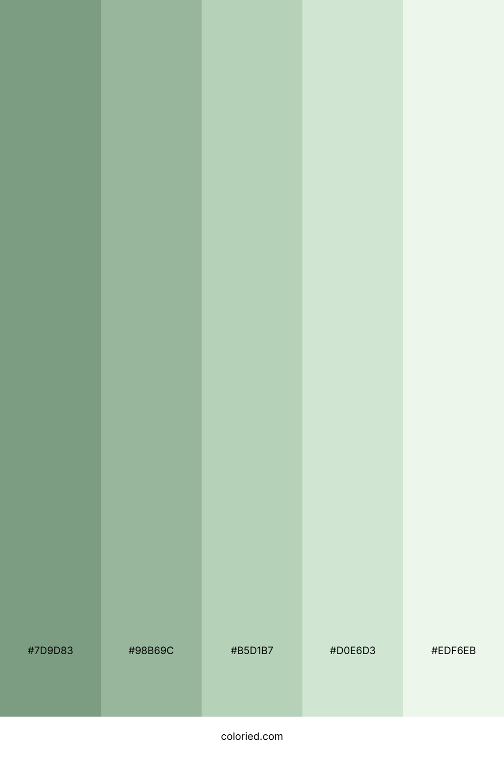 Sage Green Cream Color Palette
