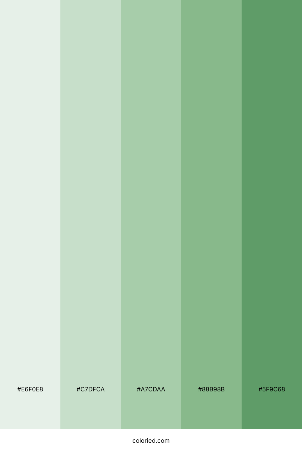 Sage Green Gradient Color Palette