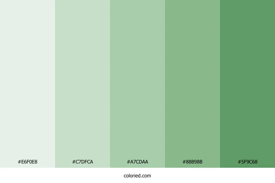 Sage Green Gradient Color Palette