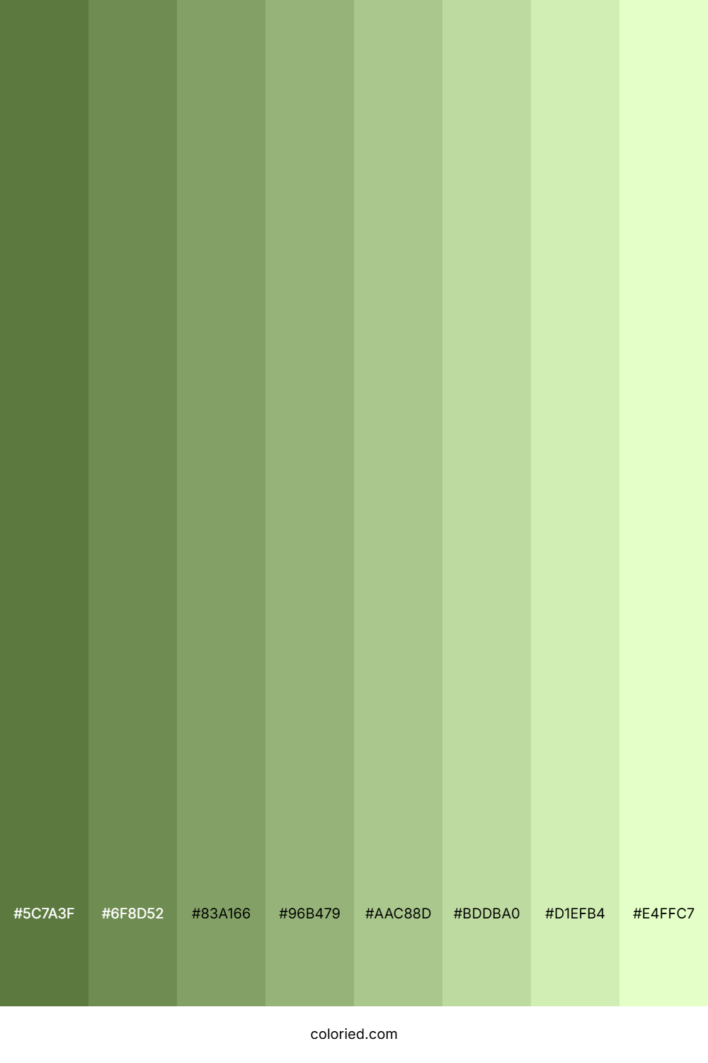 Sage Green Shades