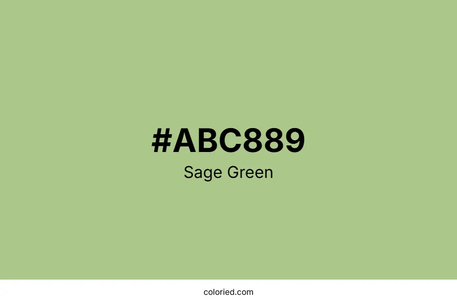 Sage Green Color Hex Code