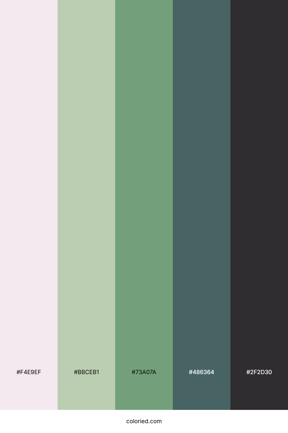 Sage Iron Whisper Color Palette