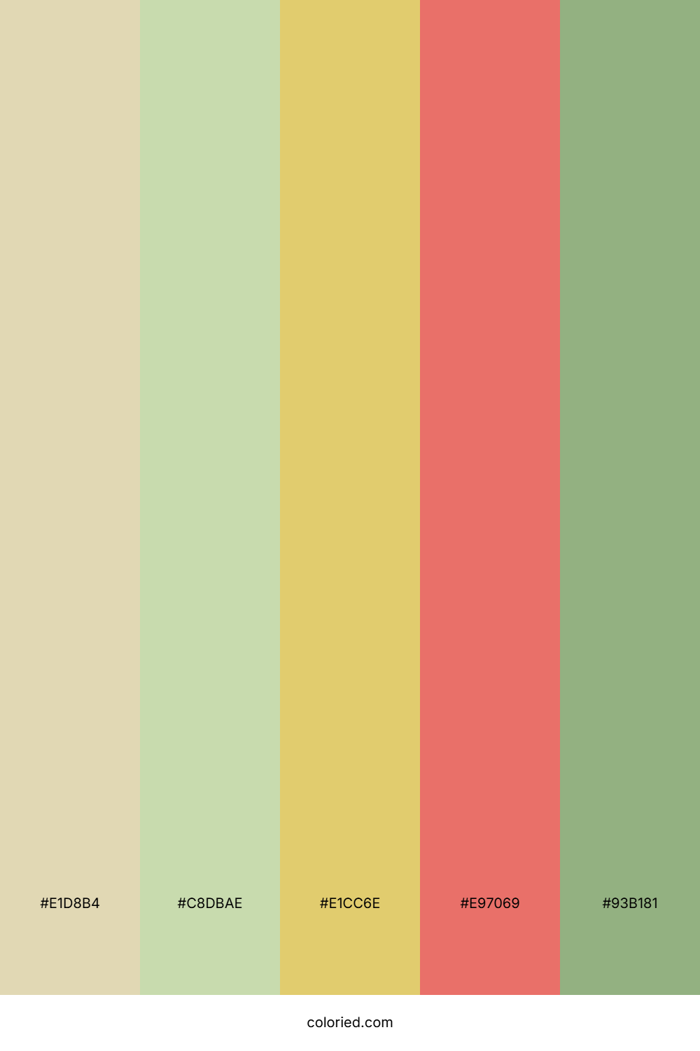 Sage Meadow Blush Color Palette