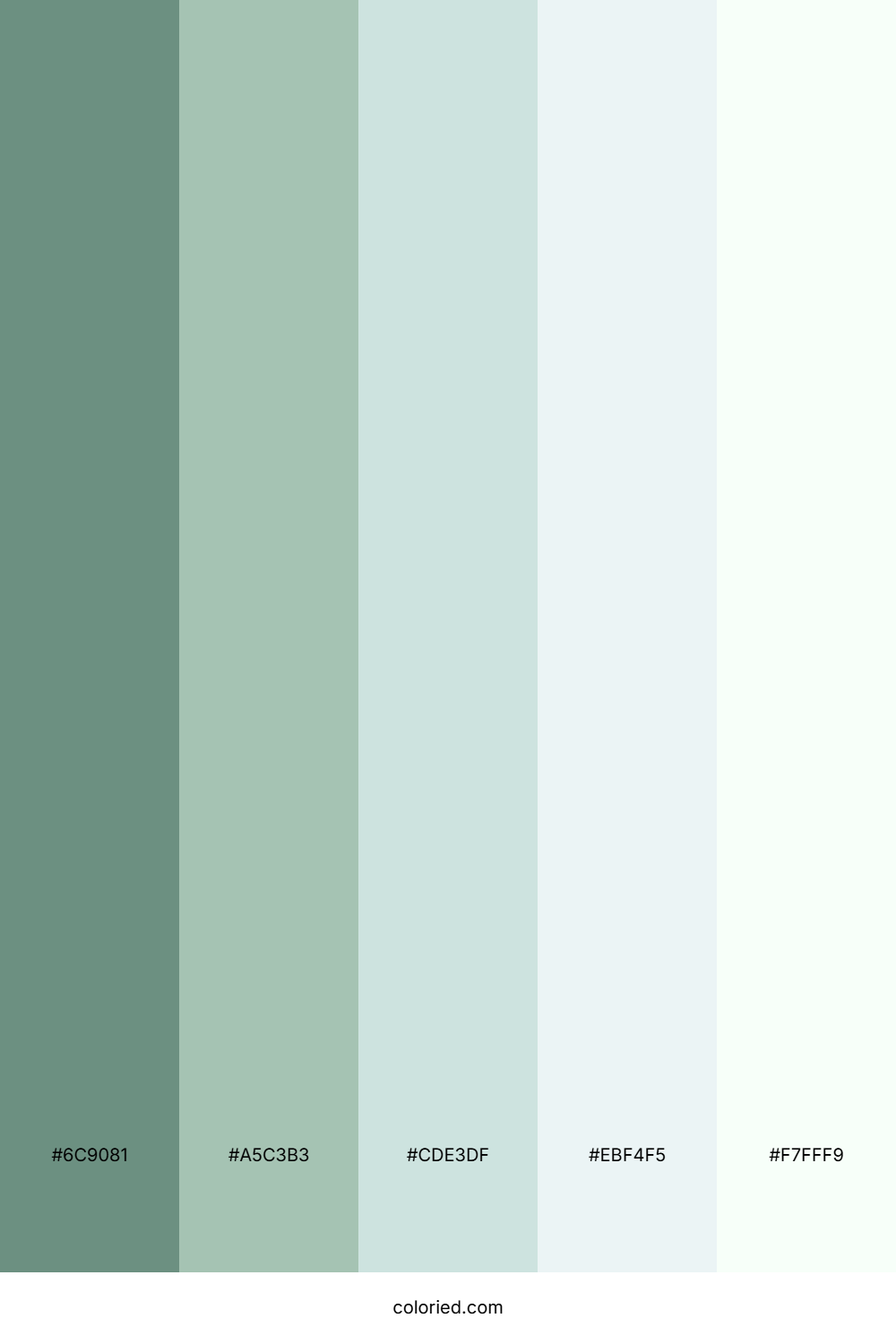 Sage Mint Mist Color Palette