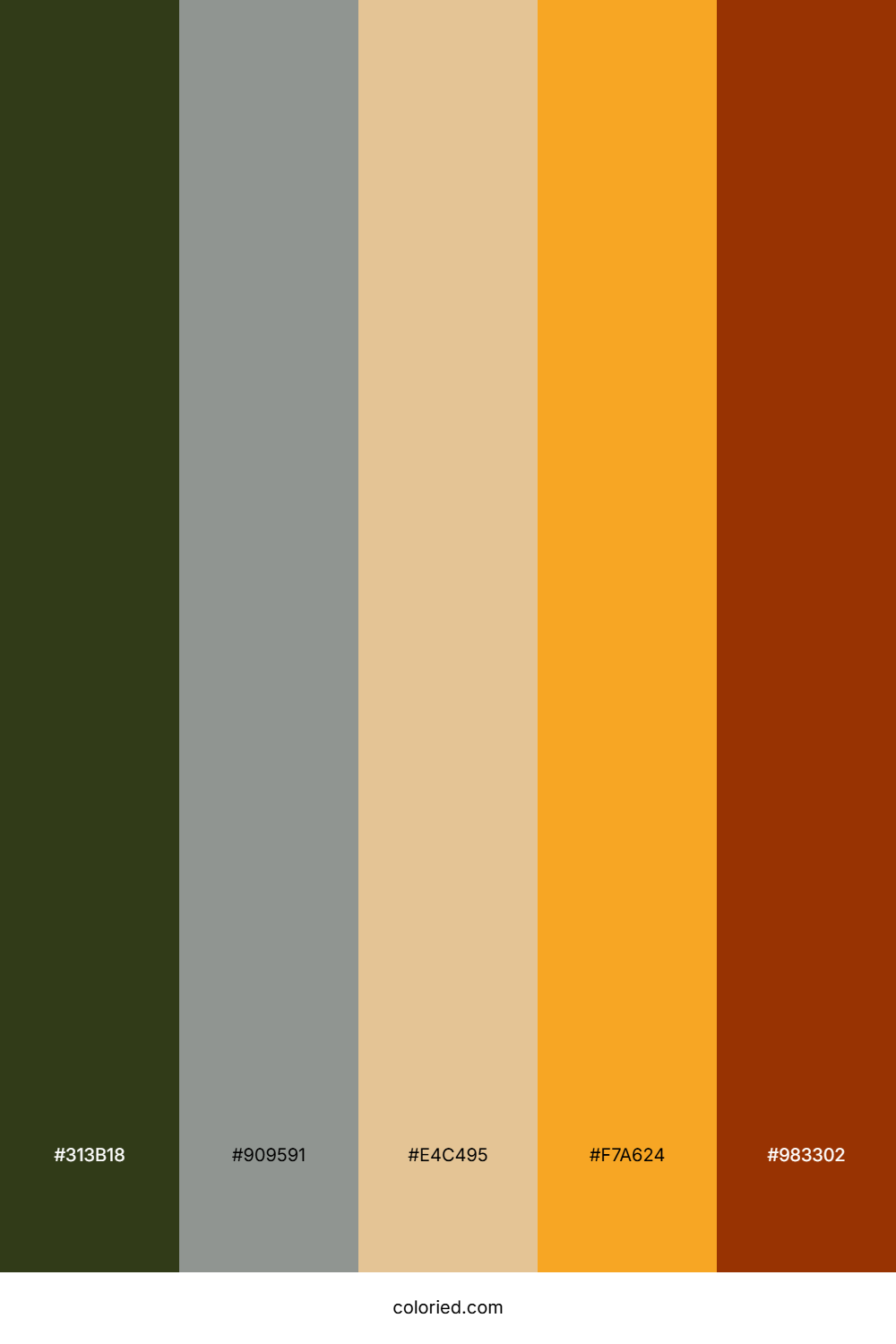 Sage Mist Sunset Color Palette