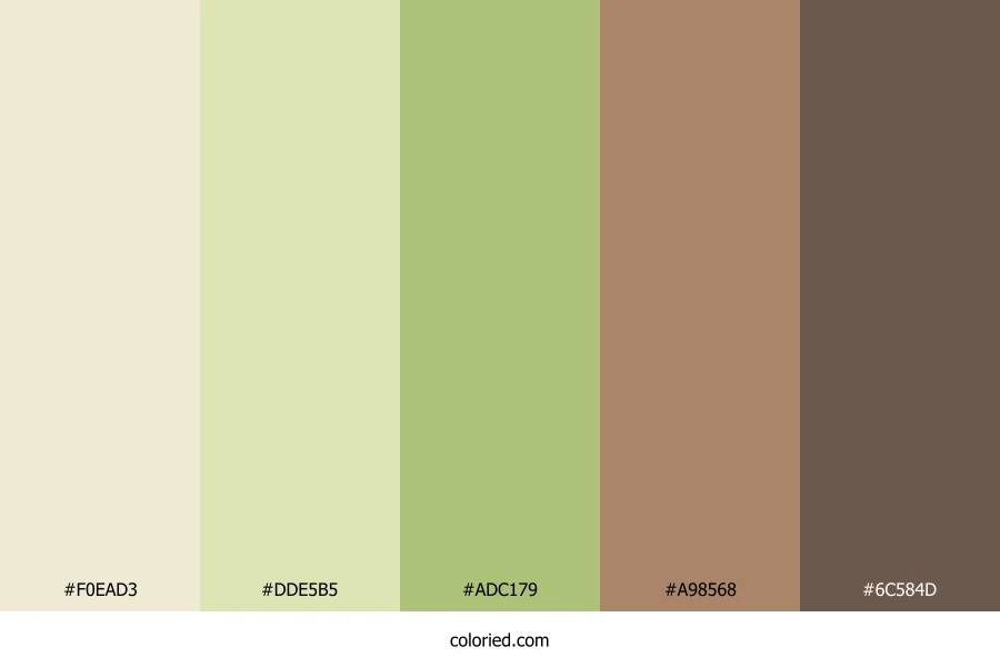 Sage Wheat Clay Color Palette