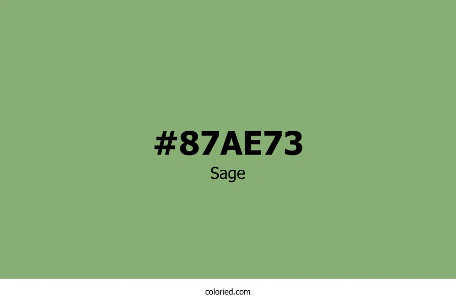 Sage Color Hex Code