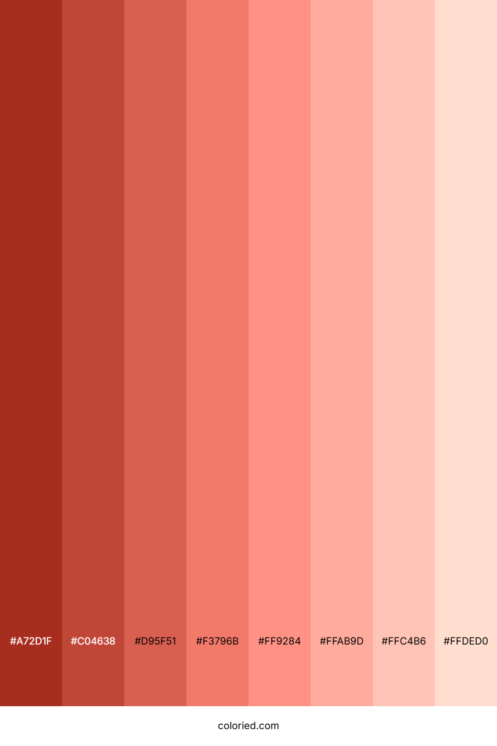 Salmon Shades