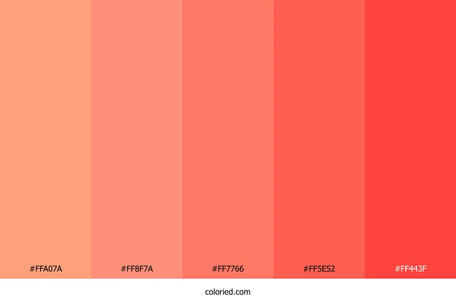 Salmon to Coral Color Palette