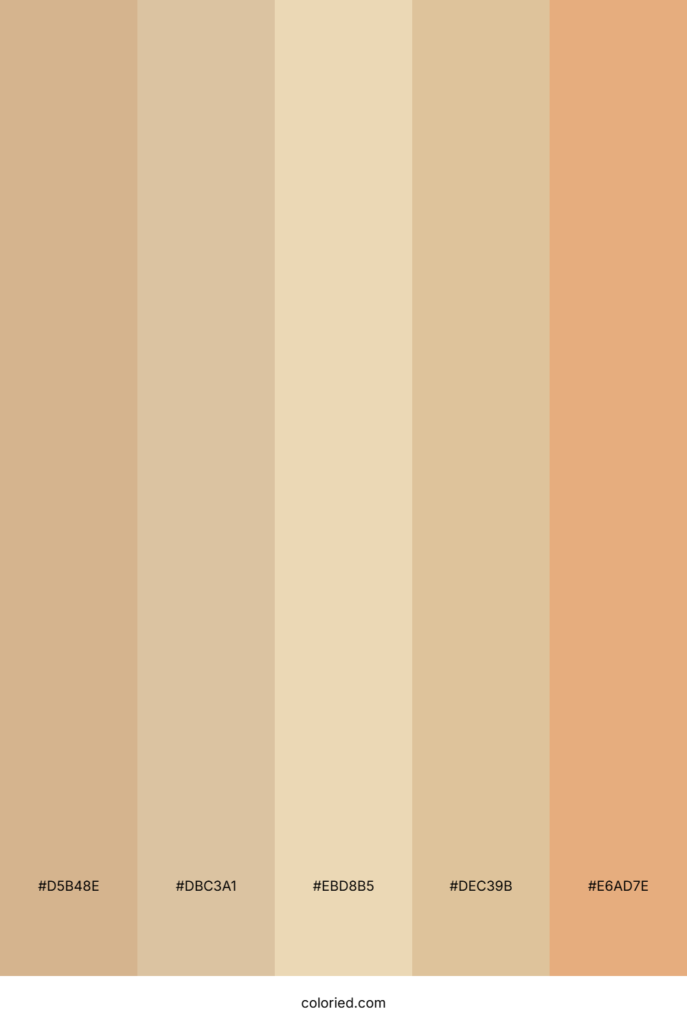 Sand And Almond Color Palette