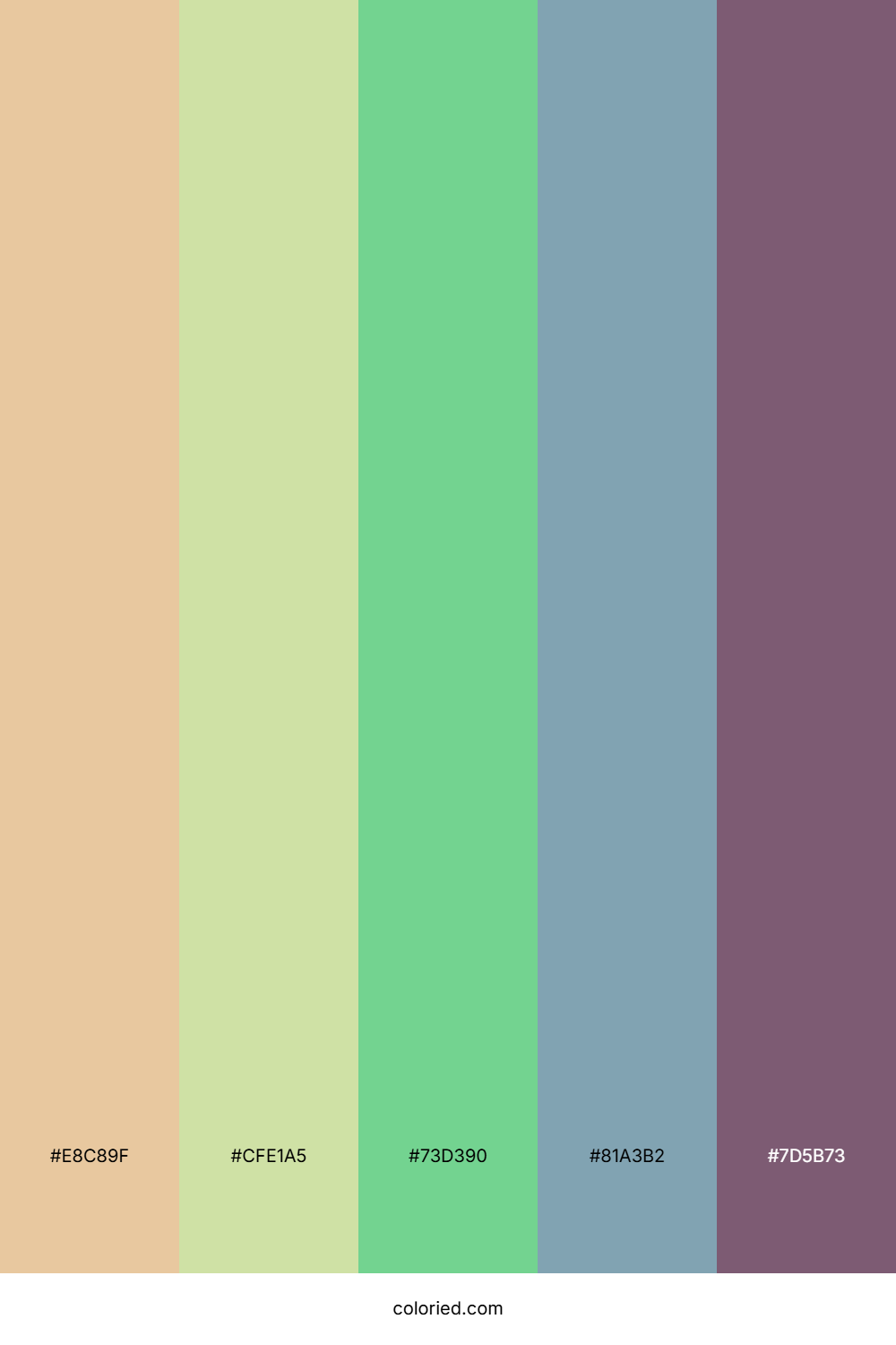 Sand and Mint Color Palette