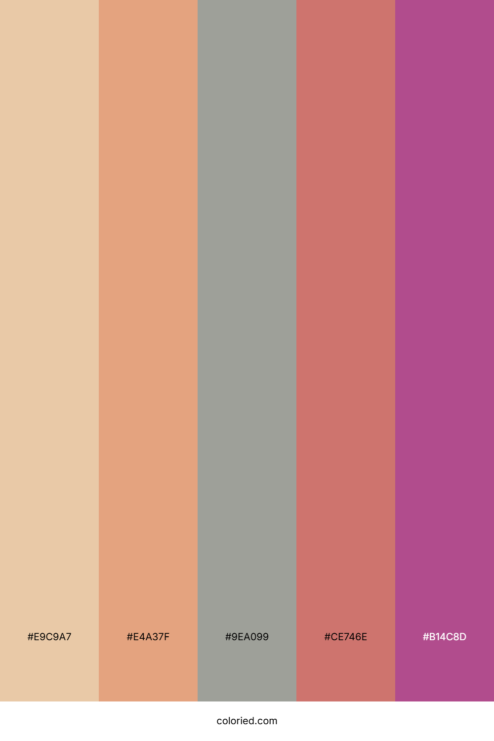 Sand and Rosewood Color Palette