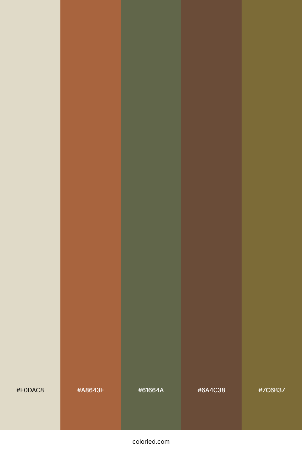 Sand and Terracotta Color Palette