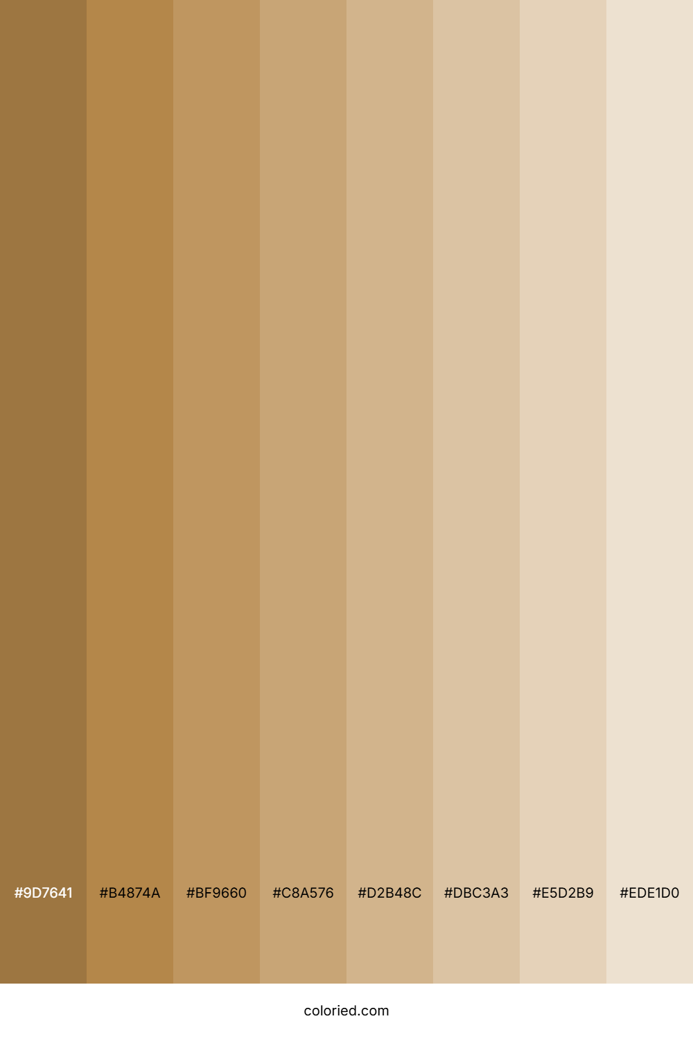 Sand Beige Shades