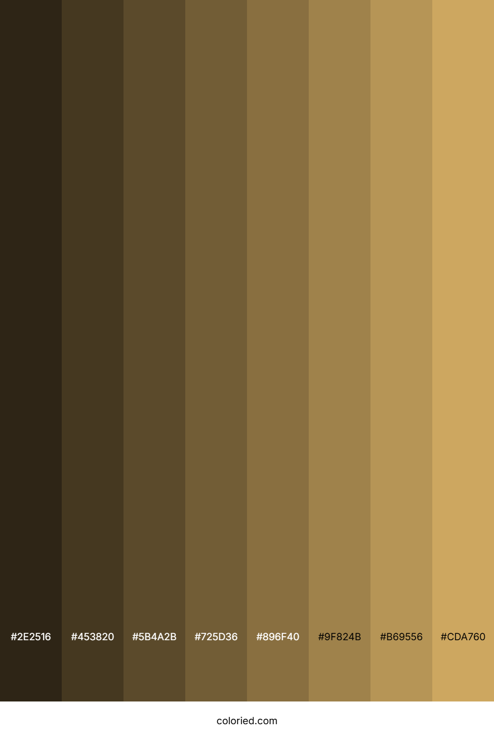 Sand Brown Color Shades