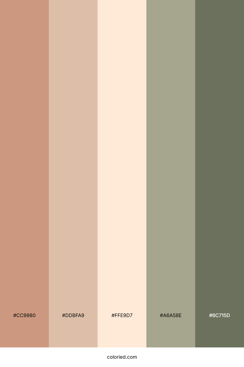 Sand Dune Blush Color Palette