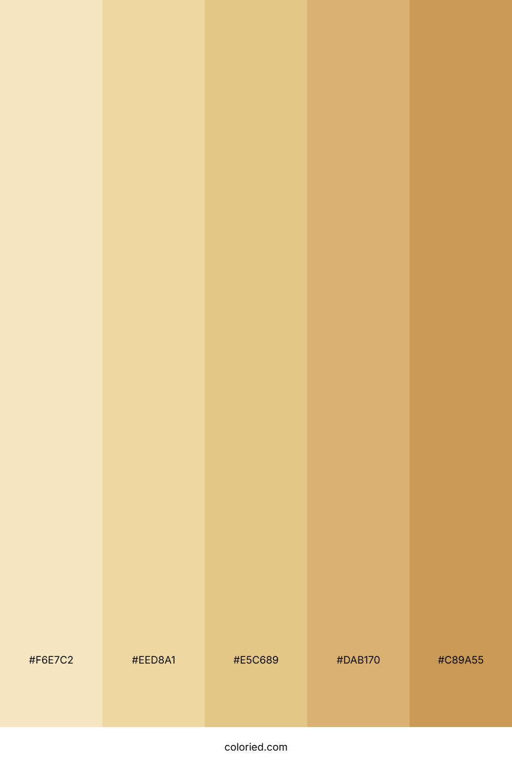 Sand Gradient Color Palette