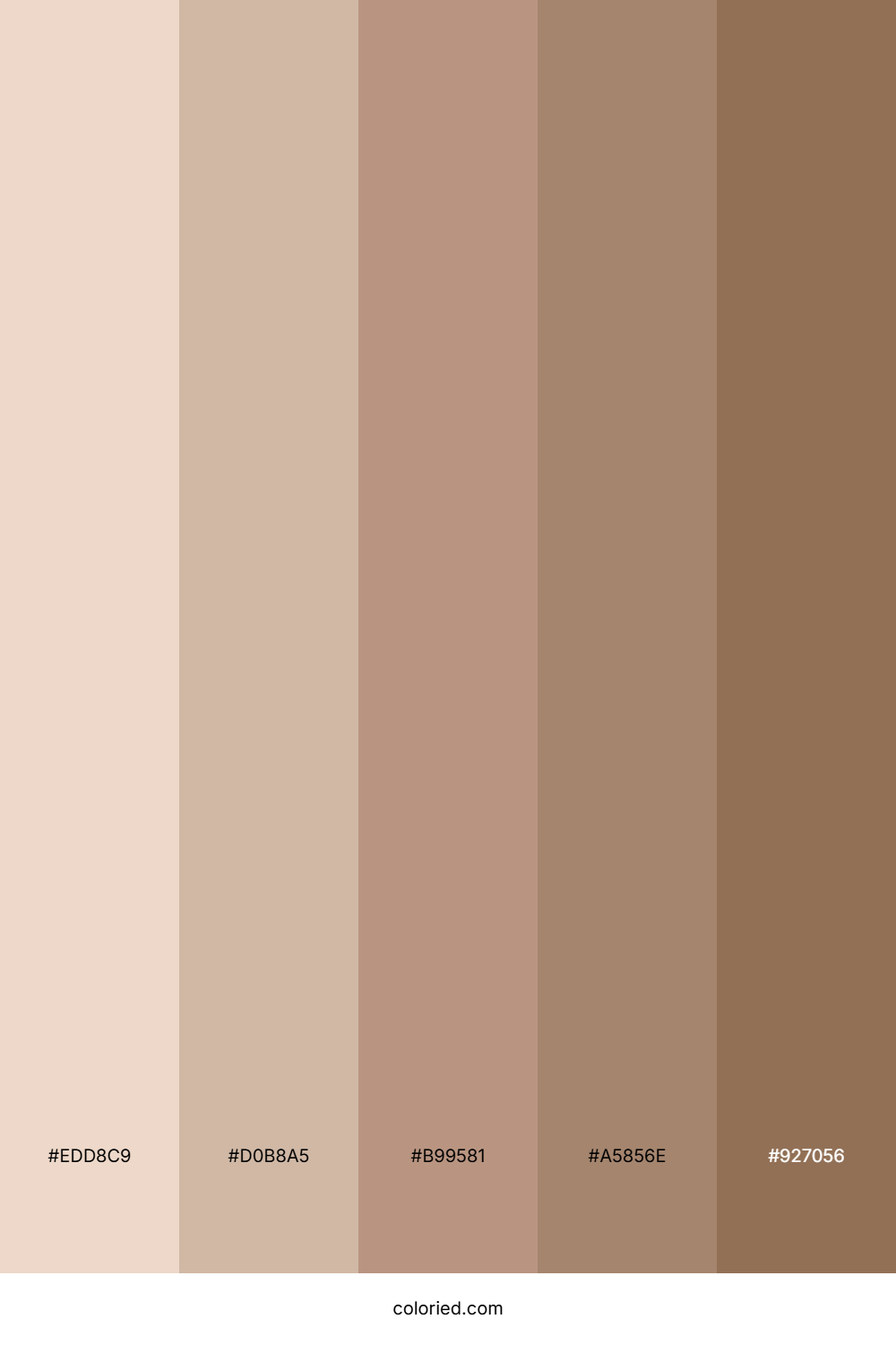 Sandstone and Cocoa Color Palette