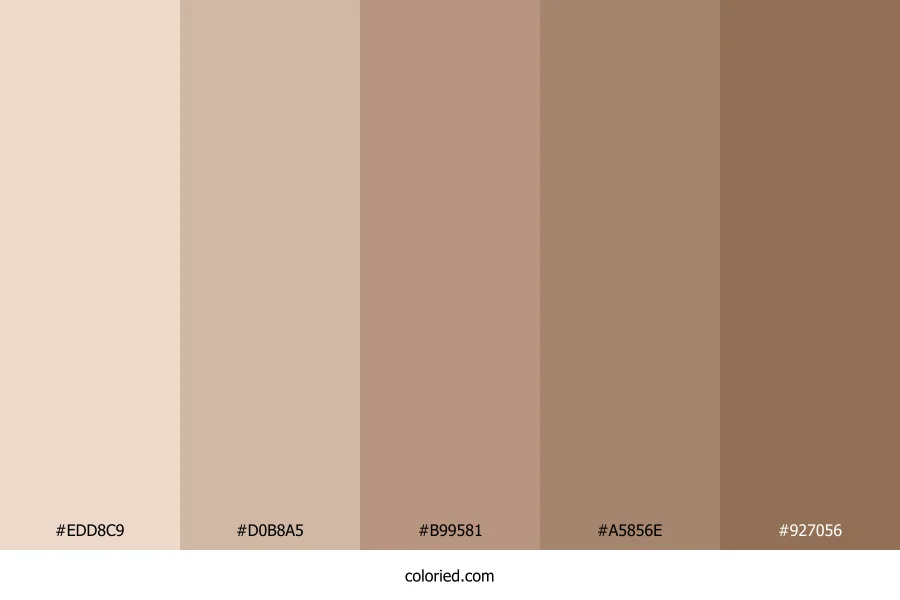 Sandstone and Cocoa Color Palette
